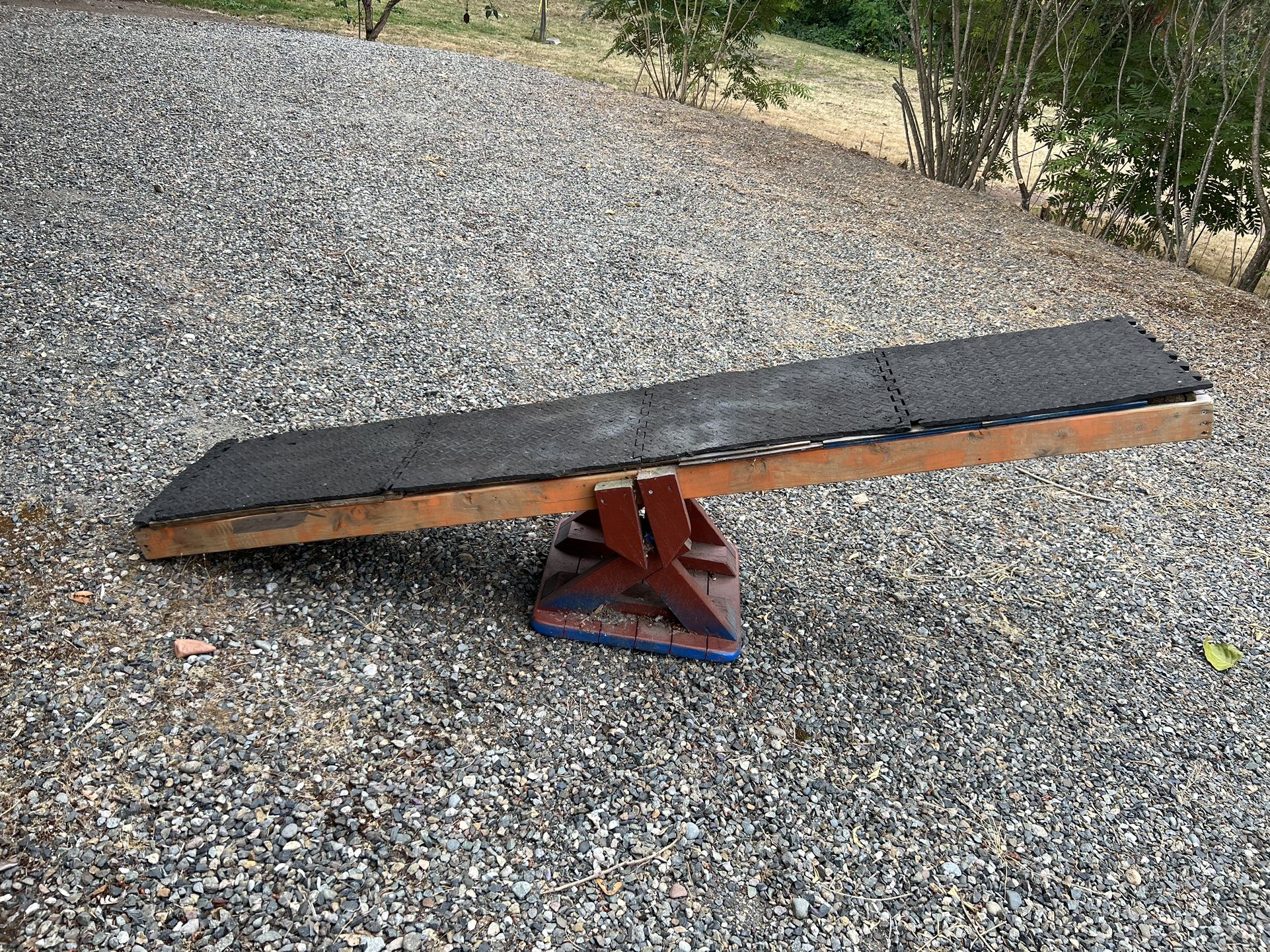 Dog Agility Teeter Totter, Large