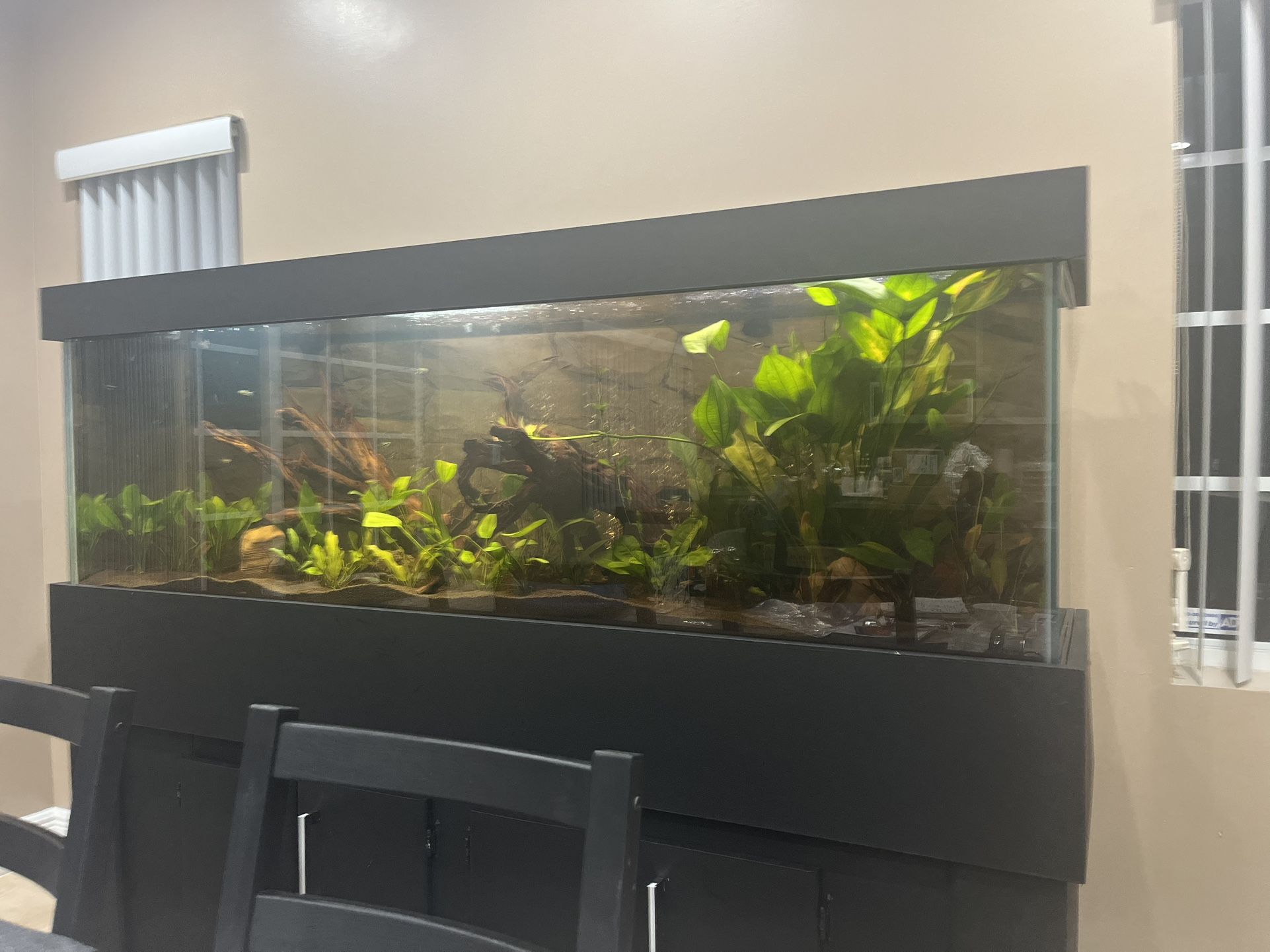 200 Gallon Fish Tank With Everything Included.(No Fish)