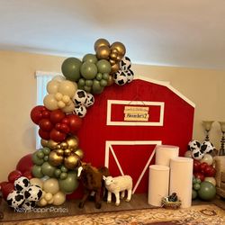 Barn Birthday Decorations