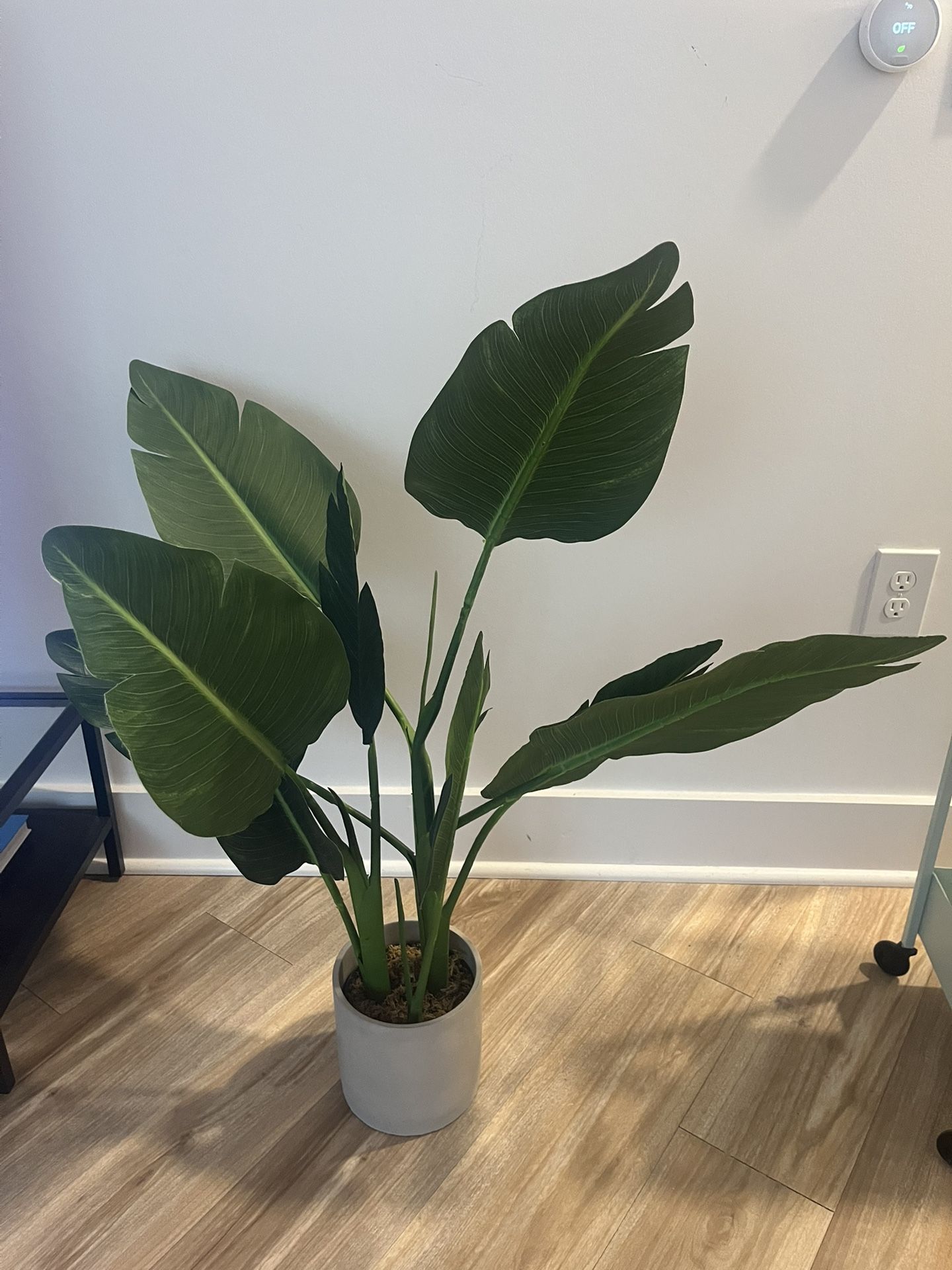 Artificial Bird of Paradise Plant With Cement Planter