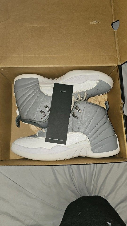 Air Jordan 12 Retro Stealth