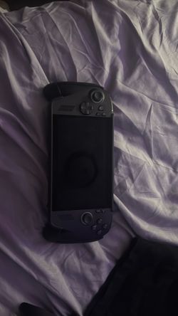 Rogue Xbox ally X