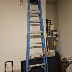 Climbing Ladder 12feet Tall