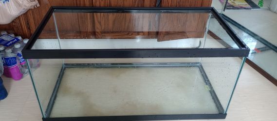 40 Gallon 🐠  or 🦎 Tank 