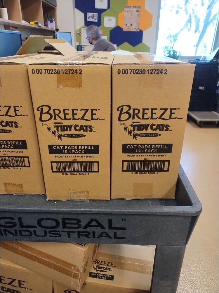 Breeze tidy Cats Pad Refills