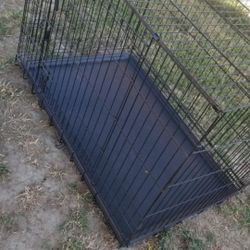 Dog Cage