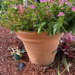 Huge Pot Full Of Flowers And Bromeliads 