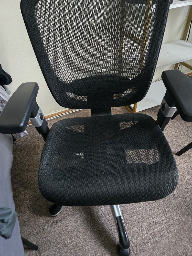 Ergonomic Office Chair
