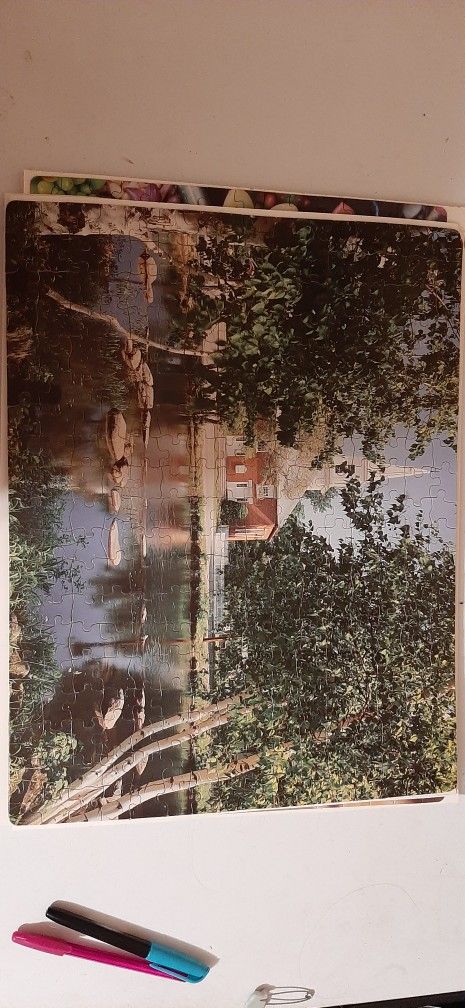 Pond