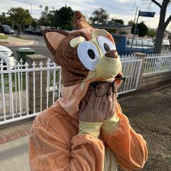 Bluey And Bingo Jumpsuit Costume