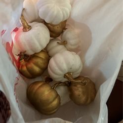 White And Gold Pumpkins 