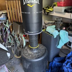 Stand Up Punching Bag