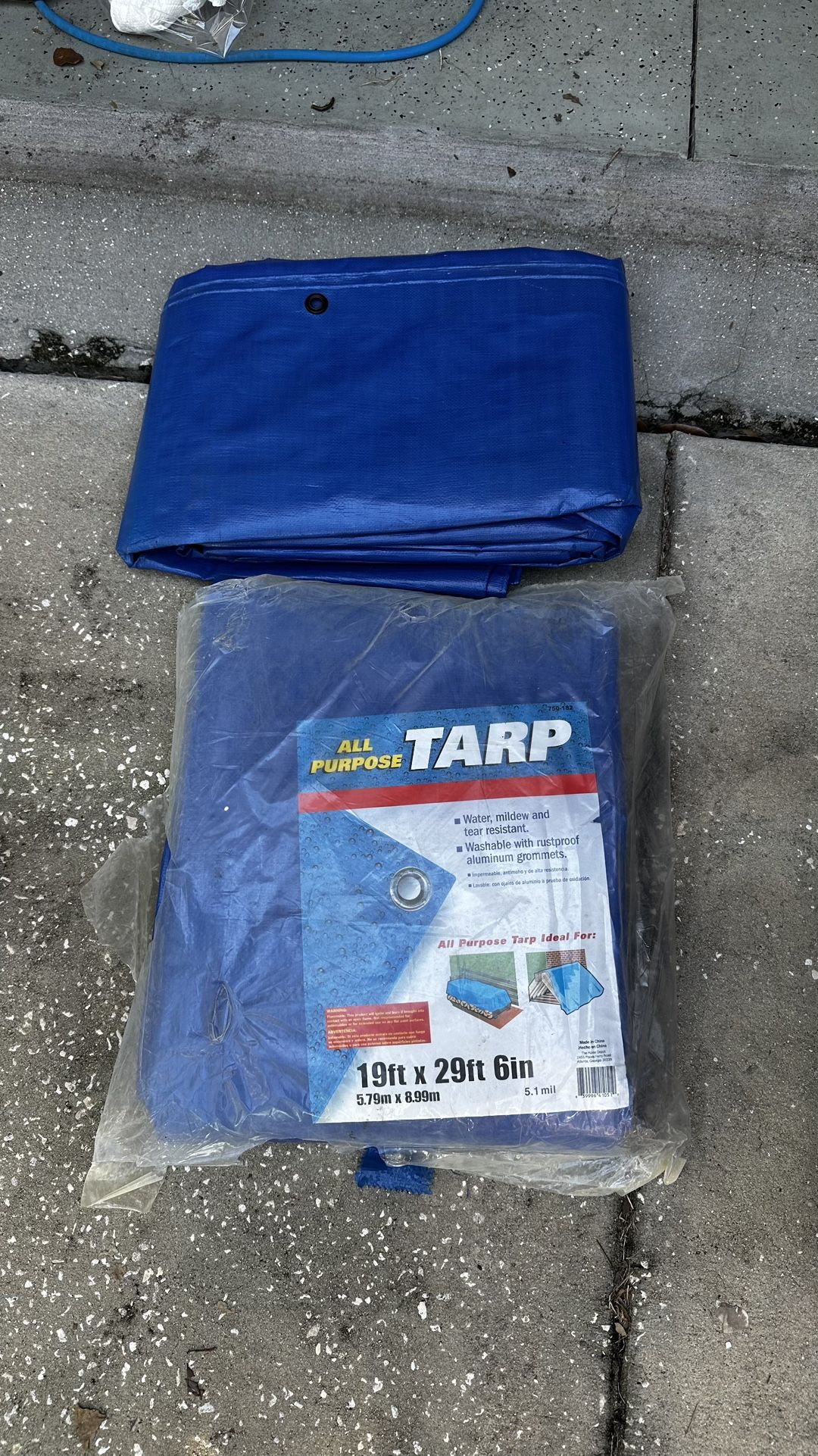 Tarp
