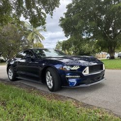 2019 Ford Mustang