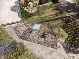Trap for Wild animals