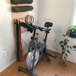 Sunny Stationary Bike