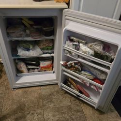 GARAGE-READY DANBY 4.2 CU FT UPRIGHT FREEZER