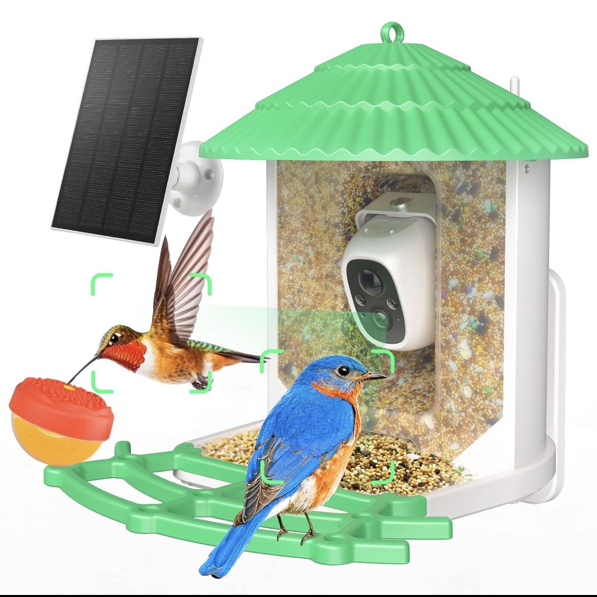 Do You Want to Capture Bird Videos?? Smart Bird Feeder with Camera**