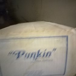 Punkin Danibury Mint Doll