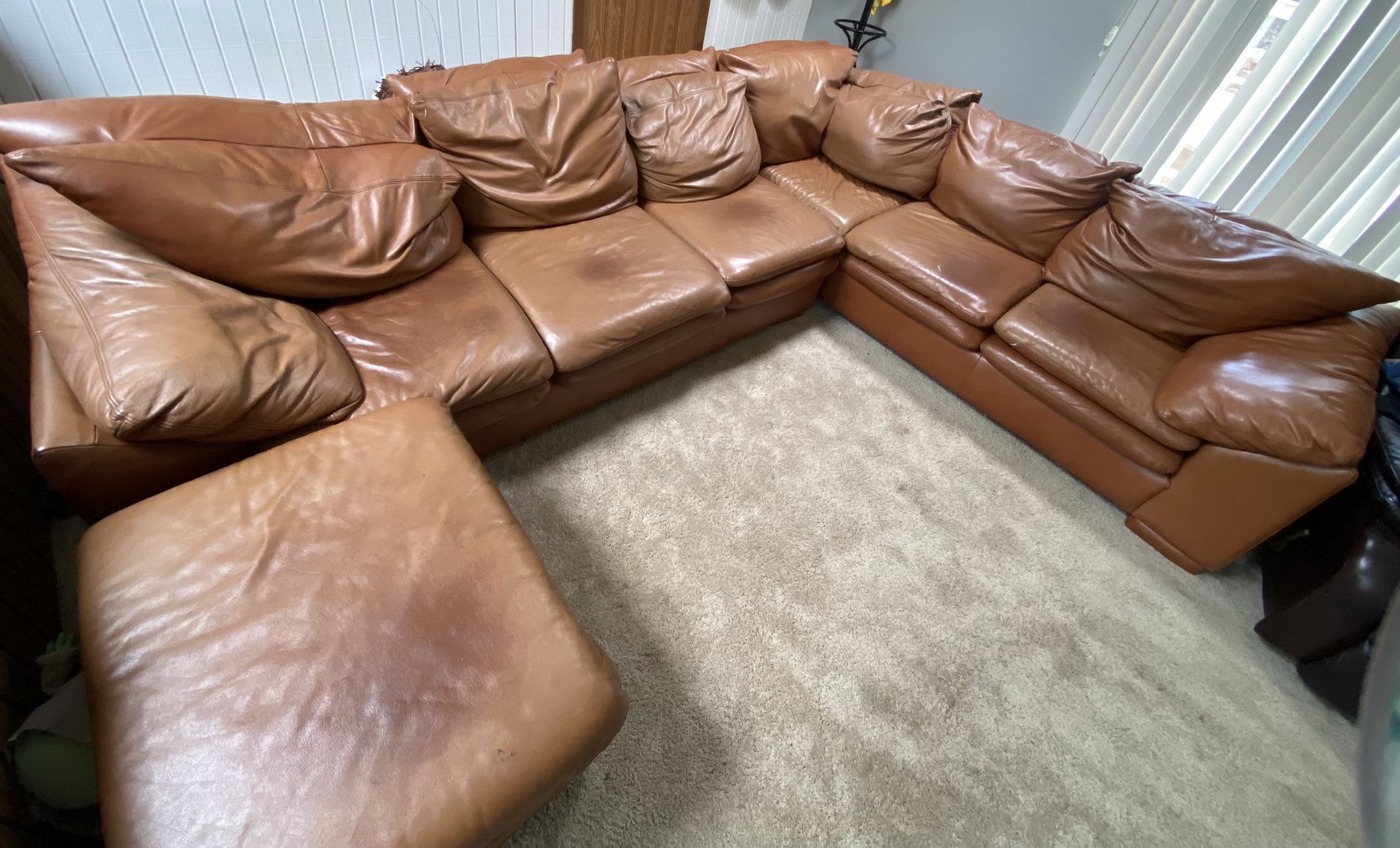 Sectional Couch