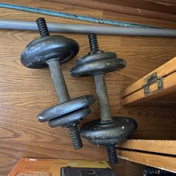 Weights 