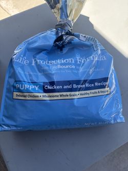 Puppy Food