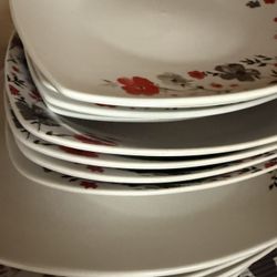 Dinner Plates Set