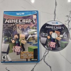 Minecraft Wii U Edition 