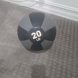 20 lbs Exercise Ball
