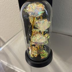 Light Up Rose in A Glass Dome $20