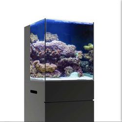 Jbj 15 Gallon Rimless Tank Aquarium And Stand 