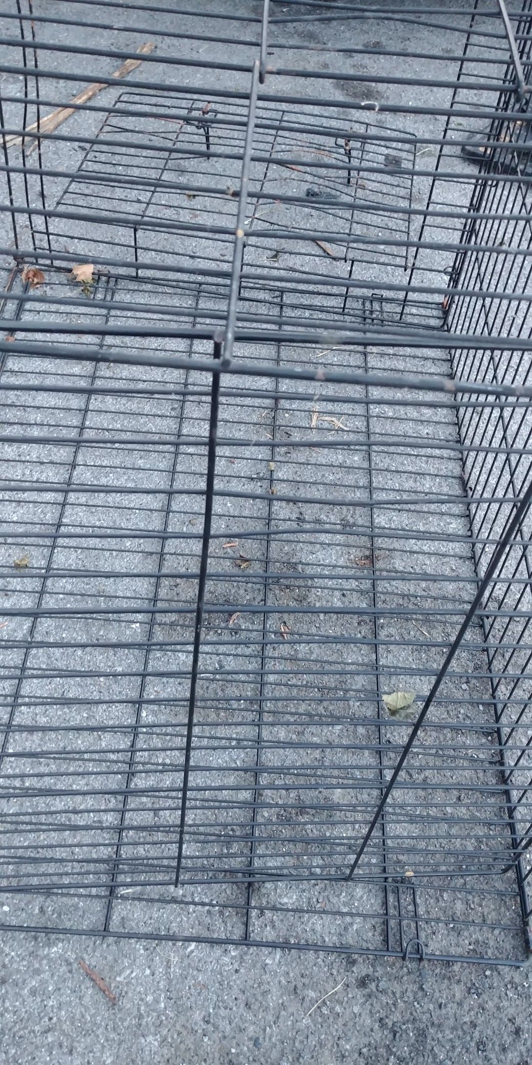 Dog gate