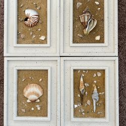Seashell Decor Art - Set of 4