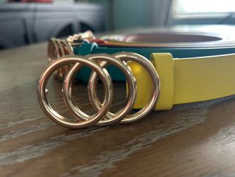 4 pack xtra large cinching belts