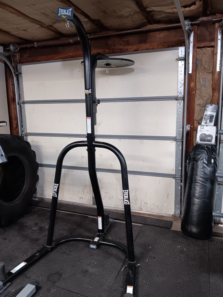 Everlast Punching Bag With Stand 