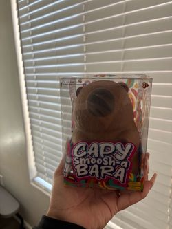 Squishy capybara