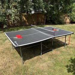 Ping Pong Table Table Tennis