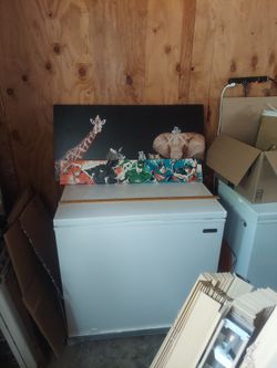 Super Hero And Animal Pics