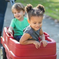 Red Wagon. Holds 2 kids with seatbelts