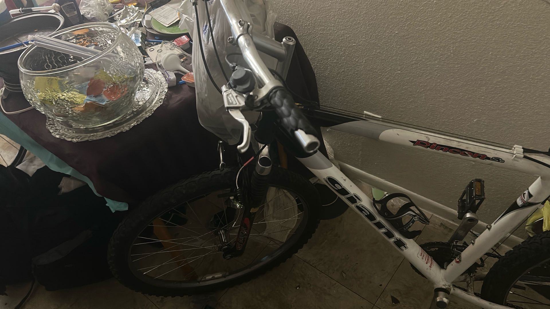 Giant Bike
