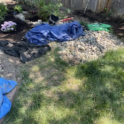 Free River Rocks