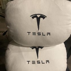 Tesla Head Cushions