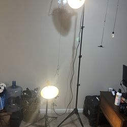 Impact Photography Lights 
