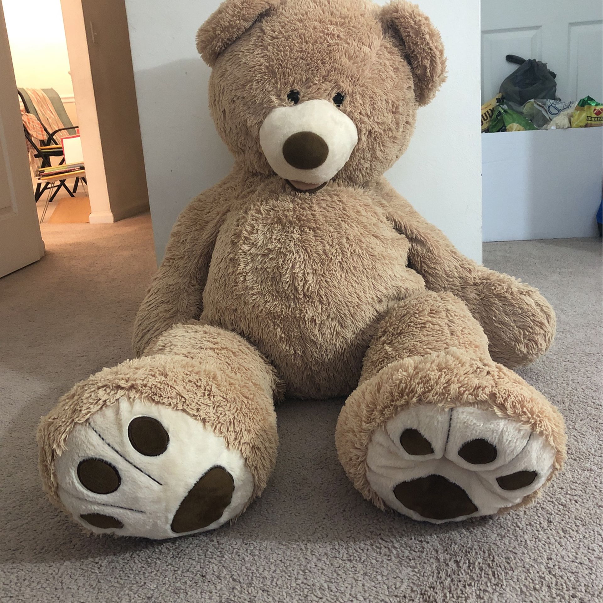 Big Teddy Bear 🧸 