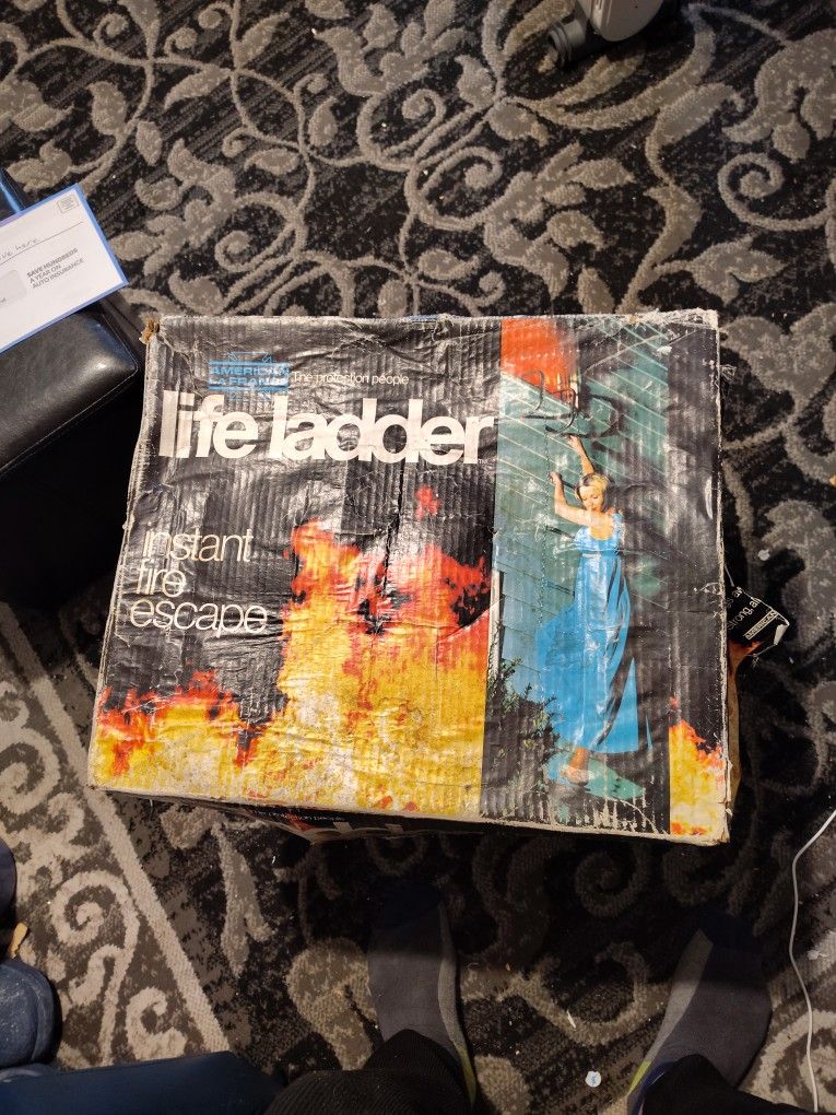 Life Ladder..