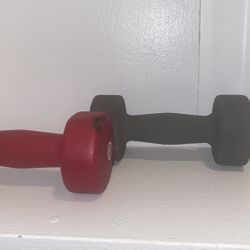 Two 8 Lb Weights