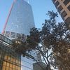Dtla