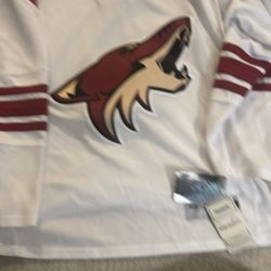 Coyotes Jersey 