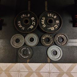 Spare 2.5lb And 25lb Old Olympic Plates--