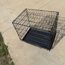 Cage 